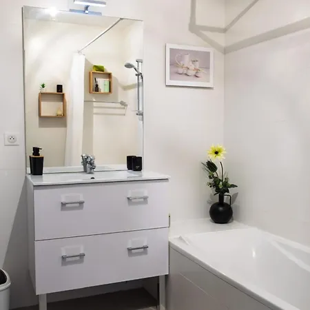 Beautiful T3 With Balcony Near Downtown דירה סן-מקסים